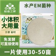 菌大大em菌种水产养殖专用草芽孢杆菌酵母菌乳酸菌鱼塘生物改底王