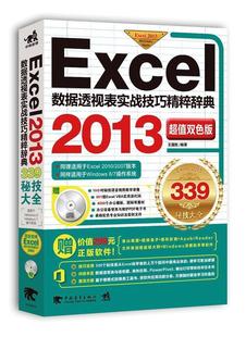 正版Excel数据透视表实战技巧精粹辞典：2013双色版 王国胜