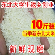 东北大米5kg黑龙江珍珠米农家自产新米香米5斤10斤粳米鲜米散装
