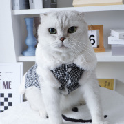 猫咪衣服冬天保暖带牵引环厚款小香风棉服INS风奶猫外出专用冬装