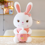 兔子毛绒玩具公仔，可爱儿童玩偶女生生日礼物女孩，小白兔公主布娃娃