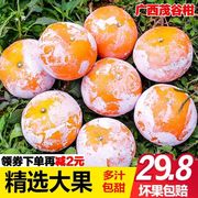 广西茂谷柑石灰柑橘非沃柑正宗新鲜孕妇水果3/5/9斤甜桔子
