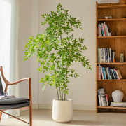 仿真植物南天竹落地盆栽仿生绿植室内客厅，装饰花摆件大型盆景假树