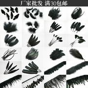 各种羽毛集合diy黑色羽毛工艺装饰羽毛婚庆羽毛材料天使翅膀羽毛