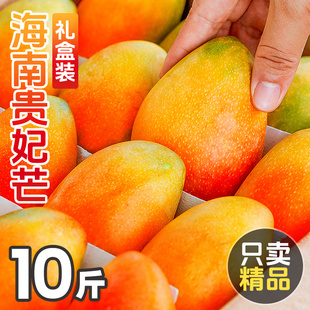 海南贵妃芒芒果10斤新鲜水果，当季整箱孕妇，礼盒金芒树上熟芒果