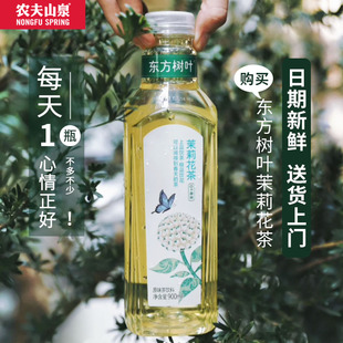 农夫山泉东方树叶900ml*12瓶茉莉花茶黑乌龙茶大瓶装青柑普洱整箱