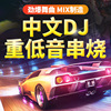 车载cd碟片dj串烧无损高音质中文网红流行歌曲汽车重低音光盘