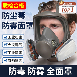 防毒面具全面罩防毒面罩，全脸防尘电焊呼吸喷漆防护专用打农药毒气