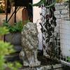 花园摆件庭院户外狮子摆件装饰仿真动物雕塑别墅门厅布景民宿院子