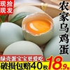 绿壳山鸡蛋60枚新鲜乌鸡蛋40枚正宗农家散养土鸡蛋30枚农村柴鸡蛋