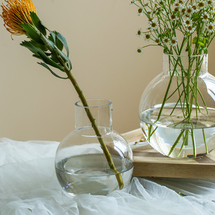 花瓶摆件客厅插花干花摆设玻璃，透明大水养水竹，茶几鲜花简约ins风