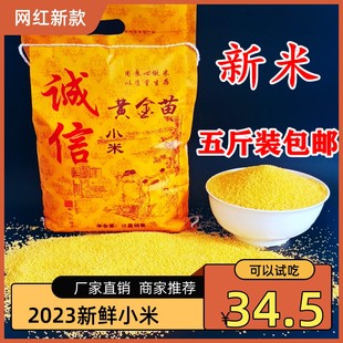 新鲜小黄米五斤黄小米新米月子米宝宝辅食用吃的小米粥一级黄金谷