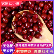 红豆500g农家自产非赤小豆五谷杂粮新货大颗粒豆类做红小豆薏米