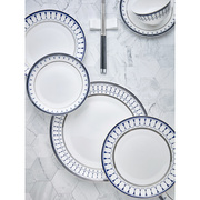 菜盘骨瓷简格碗隆达餐具盘子时尚家用家用十盘 家用十碗套装碗碟
