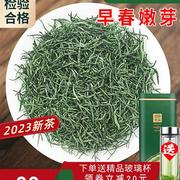 信阳毛尖绿茶2023新茶明前嫩芽250g特级浓香型茶叶春茶