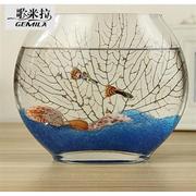 玻璃金鱼缸(金鱼缸)玻璃创意鱼缸扁口水族箱，小型椭圆形超白桌面透明迷你