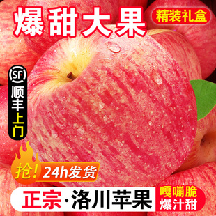 正宗陕西洛川苹果10斤新鲜水果，红富士当季整箱礼盒，冰糖心脆甜苹果