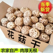 香菇花菇特级干货500g新鲜营养小干香菇冬菇菌菇新鲜干蘑菇