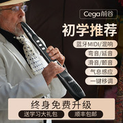 cega电子吹管初学入门笛子，专业乐器中老年葫芦丝萨克斯