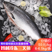 三文鱼整条大西洋鲑鱼日料理刺身寿司食材海鲜酒店烟熏辣根