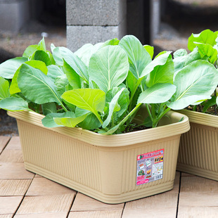 爱丽丝阳台种菜花盆塑料长方形爱丽思加厚特大号蔬菜种植箱