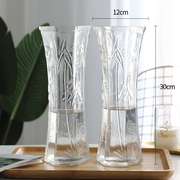 急速玻璃花瓶两件套特大号透明水培富贵竹花瓶客厅家用插