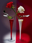 印花粘贴十字钻石满绣5d杯中红白玫瑰花瓶客厅卧室工作室壁画