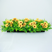 栅栏花槽绿植插花套装成品，装饰摆放隔断花箱花卉室内橱窗米兰植物