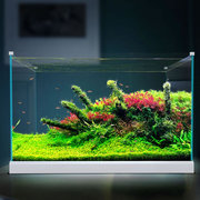 森森加宽超白玻璃鱼缸客厅小型生态水族箱水草缸中型桌面金鱼缸