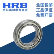 HRB 哈尔滨轴承 61956 61960 61964 61968 61976 ZZ 深沟球轴承