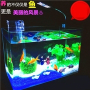 加宽大加厚加长加高60厘米70cm80超白热弯玻璃鱼缸水族箱虾缸龟缸