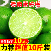 云南青柠檬10斤新鲜水果现摘薄皮青柠香水柠檬奶茶店专用