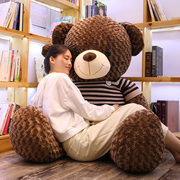 正版泰迪熊猫抱抱熊大熊毛绒玩具熊公仔(熊公仔)玩偶布娃娃女生生日礼物女