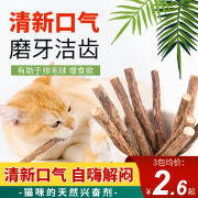 猫咪磨牙棒木天蓼棒猫磨牙棒洁齿棒幼猫猫薄荷猫草猫咬棒猫零食