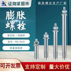 膨胀螺栓拉爆膨胀螺丝大头膨胀螺栓M6M8M10M20非国标膨胀螺