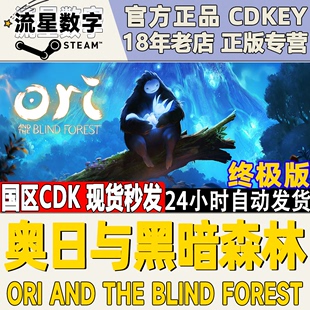 pc正版steamoriandtheblindforest精灵奥，日与黑暗迷失森林