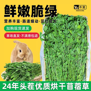 兔子草料烘干苜蓿草干草荷兰猪粮食饲料苜宿草紫花苜蓿草毛重1kg
