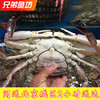 3-9两只北京闪送鲜活海蟹沙母蟹红膏蟹海鲜，满黄满肉梭子蟹飞蟹