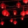 新年彩灯家居装饰led红灯笼灯串供应各种款式装饰led红灯笼灯串