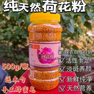 新鲜荷花粉花粉，纯天然农家蜂花粉破壁500g食用新鲜莲花粉