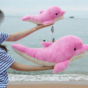 极地海洋馆同款海豚毛绒玩具海豚玩偶，大白海豚公仔海洋动物