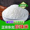 东北大米珍珠米长粒香5斤粳米圆粒农家米寿司饭团当季新米稻香米
