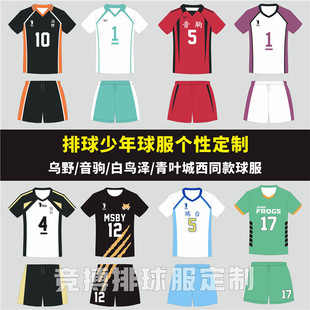 专业排球服套装定制排球少年同款球服气排球上衣男女比赛队服印字