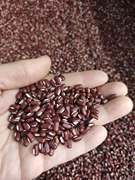 2020新货赤小豆，500g东北赤豆农家自产五谷杂粮，赤小豆