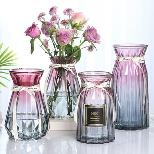 北欧创意透明玻璃花瓶水培绿萝植物，干花鲜花插花瓶客厅装饰摆件