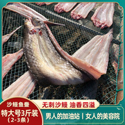 沙鳗鲞油鳗干整条舟山特产七星大鳗鱼干无刺淡晒海鱼海鲜水产干货