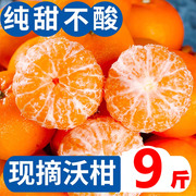 广西超甜沃柑新鲜9斤当季水果桔子皇帝沙糖蜜橘砂糖柑橘整箱