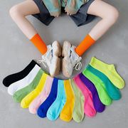 中筒袜子纯棉长袜彩色，运动健身潮2024年百搭纯色，糖果色堆堆袜春夏