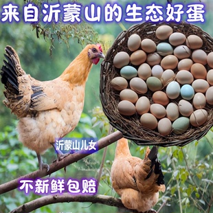 正宗散养土鸡蛋新鲜农村野外月子孕妇本柴鸡蛋有机虫草笨鸡蛋50枚
