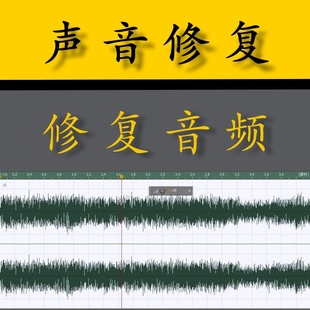 提取人声监控录音手机录音笔，降噪听清内容，放大声音对话说话内容